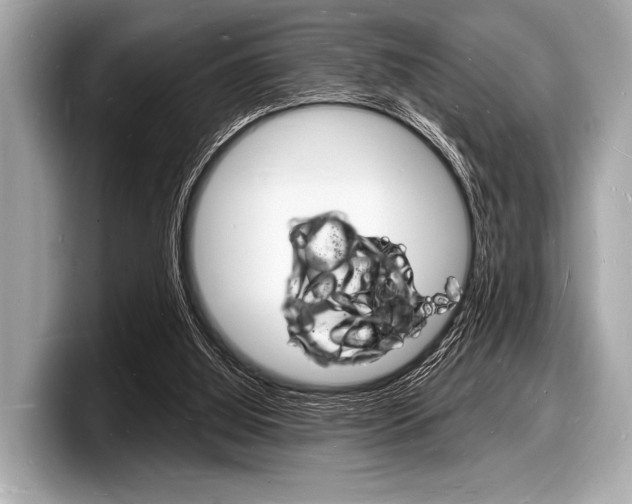 X0000098230060200804241210