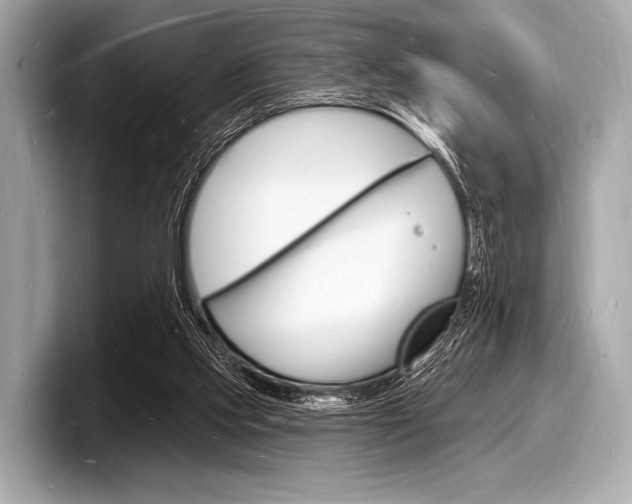 X0000098230061200804241210