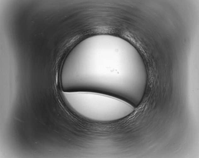 X0000098230062200804241210