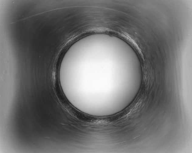 X0000098230063200804241210
