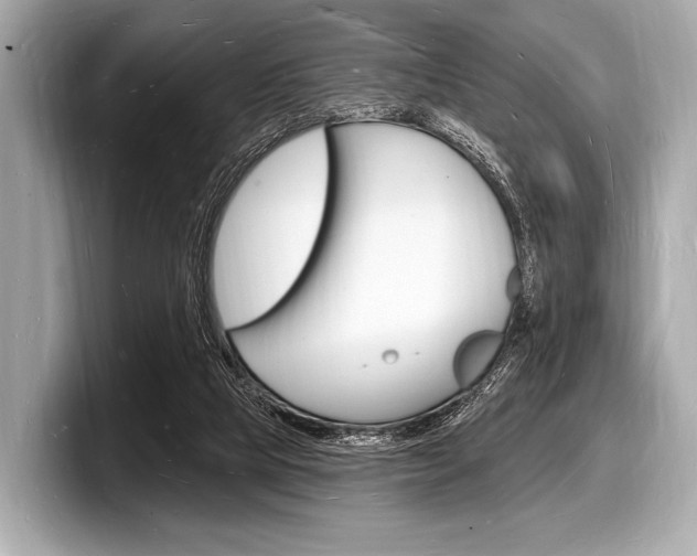 X0000098230065200804241210