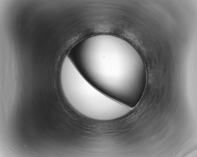 X0000098230068200804241210