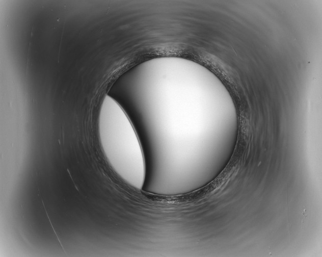 X0000098230071200804241210