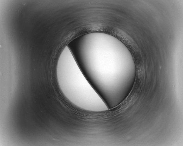 X0000098230072200804241210