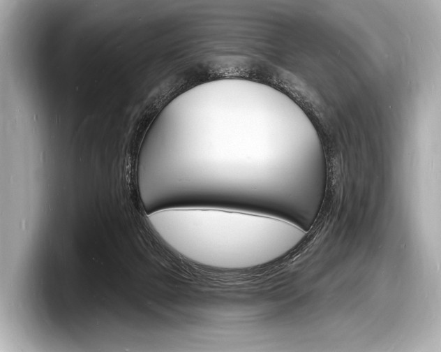 X0000098230073200804241210
