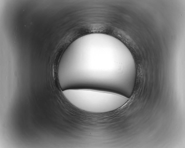 X0000098230074200804241210