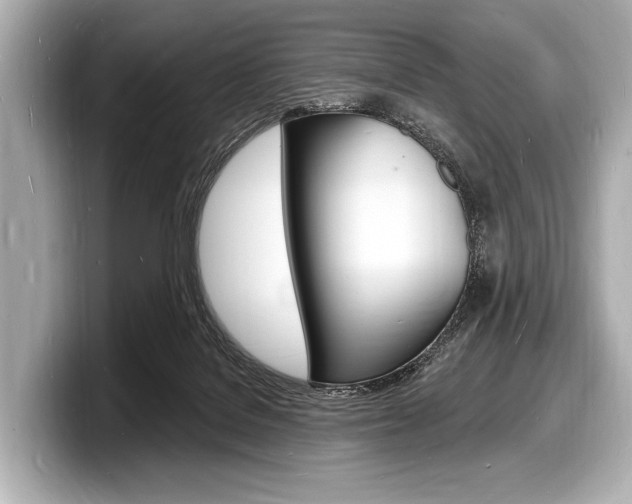 X0000098230076200804241210