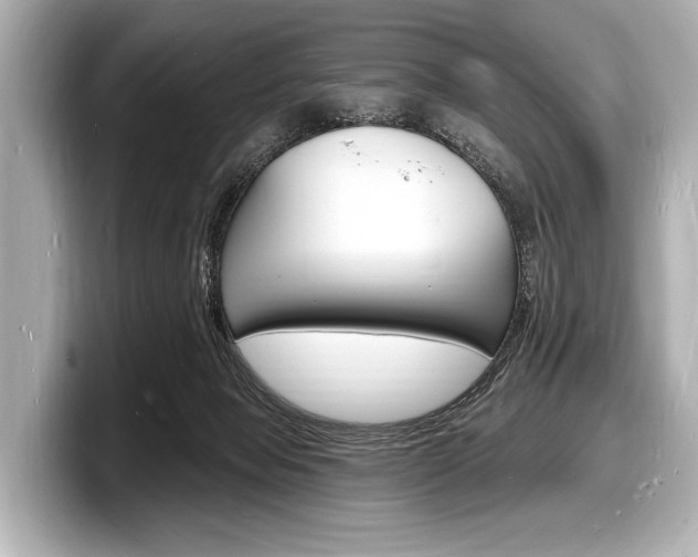 X0000098230077200804241210
