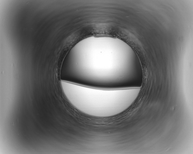X0000098230080200804241210