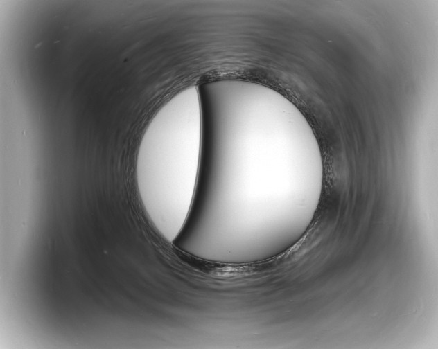 X0000098230082200804241210