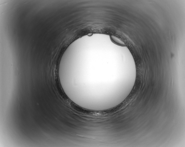 X0000098230083200804241210