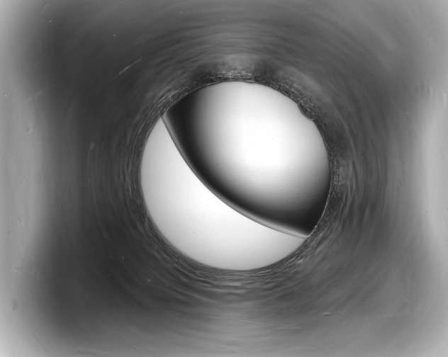 X0000098230084200804241210