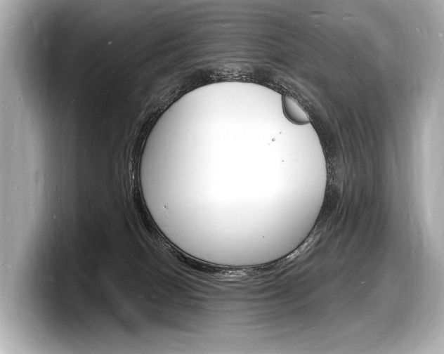 X0000098230086200804241210