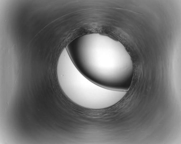 X0000098230088200804241210