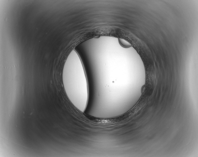 X0000098230091200804241210