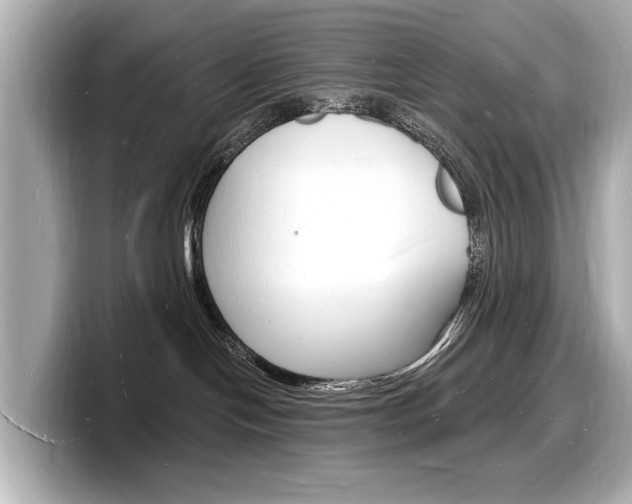 X0000098230094200804241210