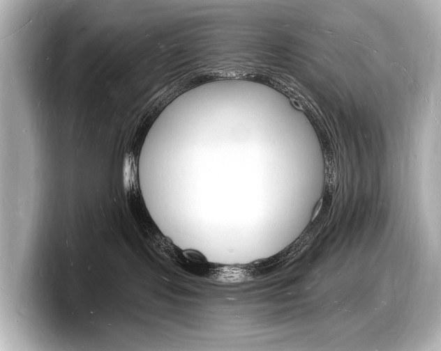 X0000098230095200804241210