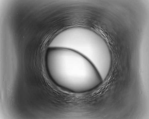 X0000098230097200804241210