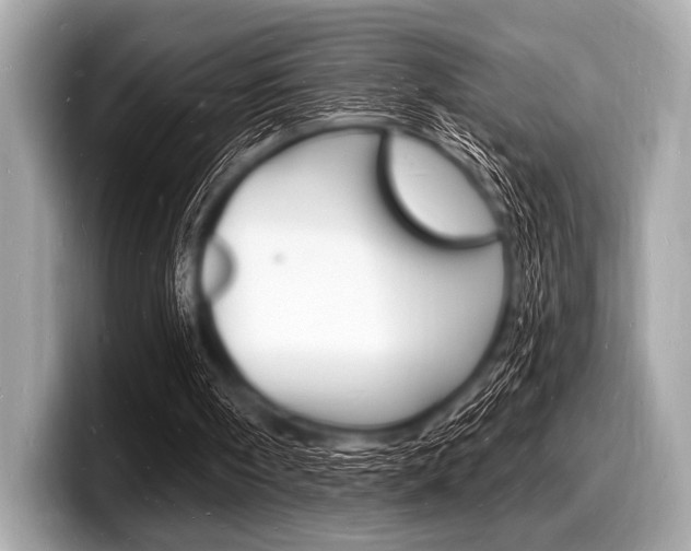 X0000098230098200804241210