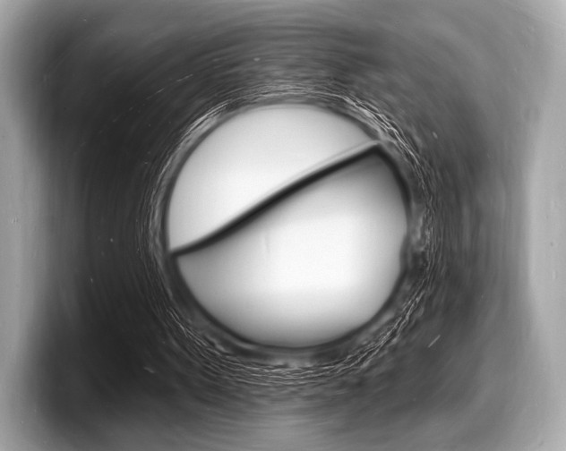 X0000098230099200804241210