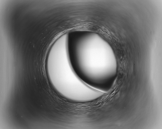 X0000098230100200804241210