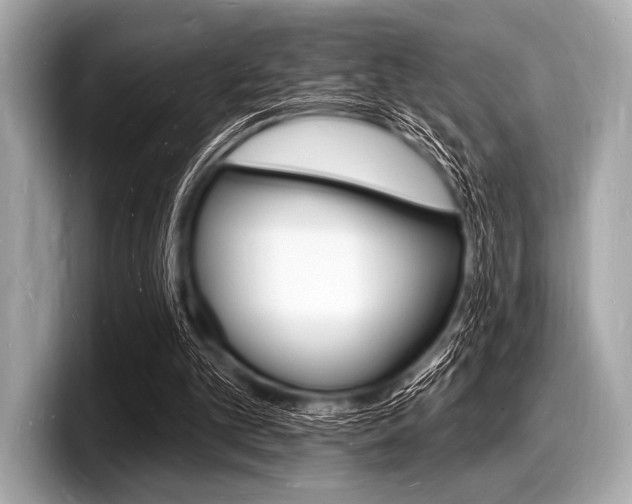 X0000098230101200804241210