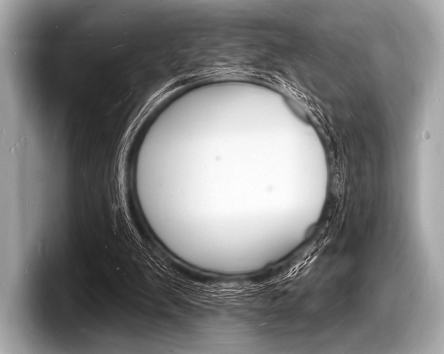 X0000098230103200804241209