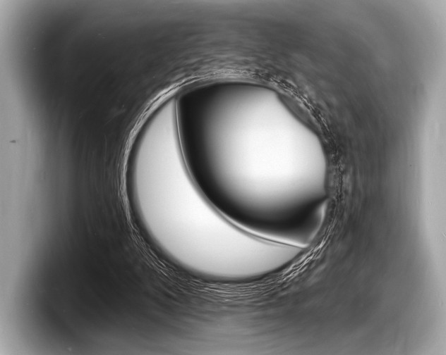 X0000098230104200804241209
