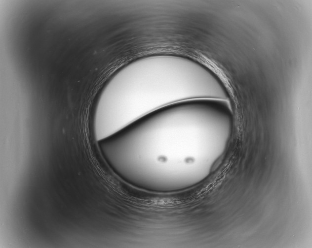 X0000098230105200804241209
