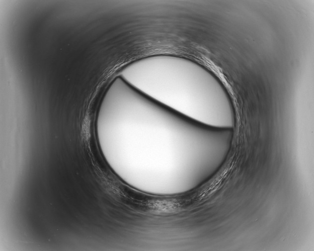 X0000098230106200804241209