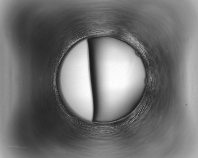 X0000098230107200804241209