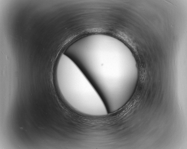 X0000098230111200804241209