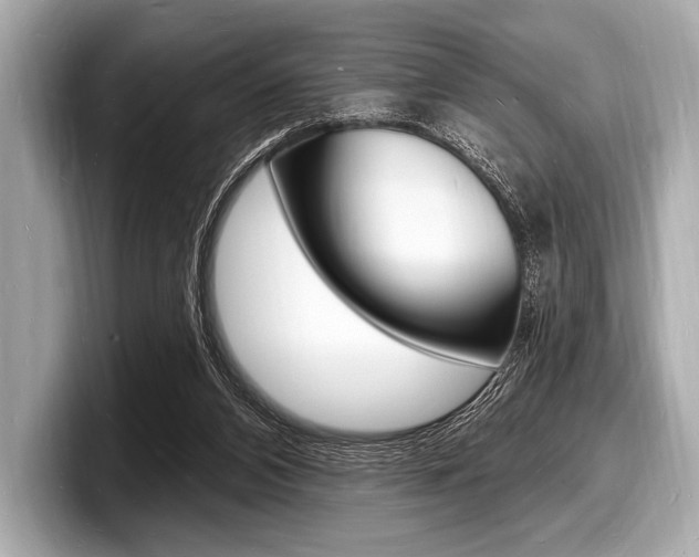 X0000098230112200804241209
