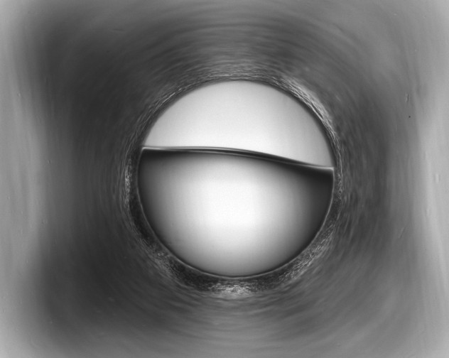 X0000098230113200804241209