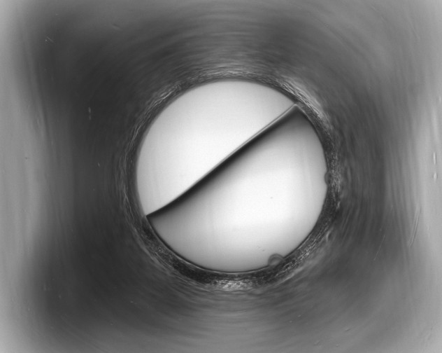 X0000098230115200804241209