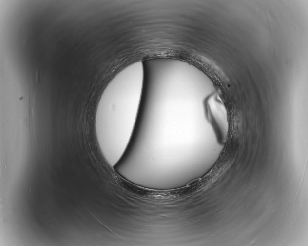 X0000098230121200804241209
