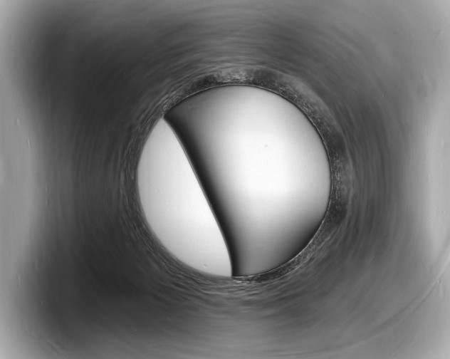 X0000098230125200804241209