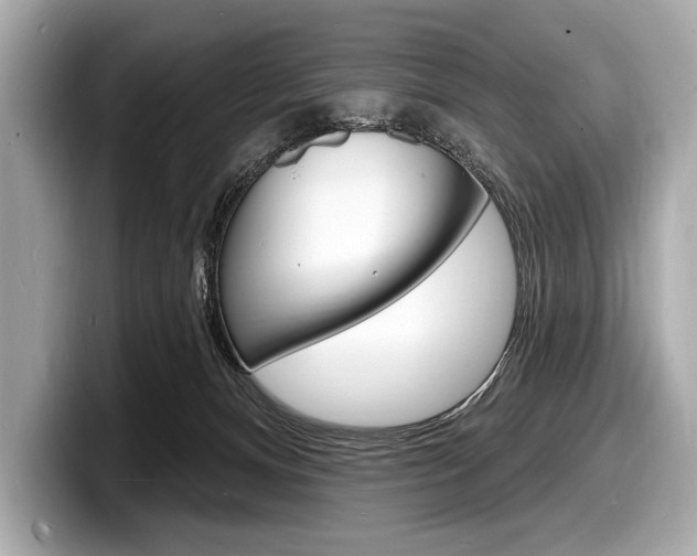 X0000098230128200804241209