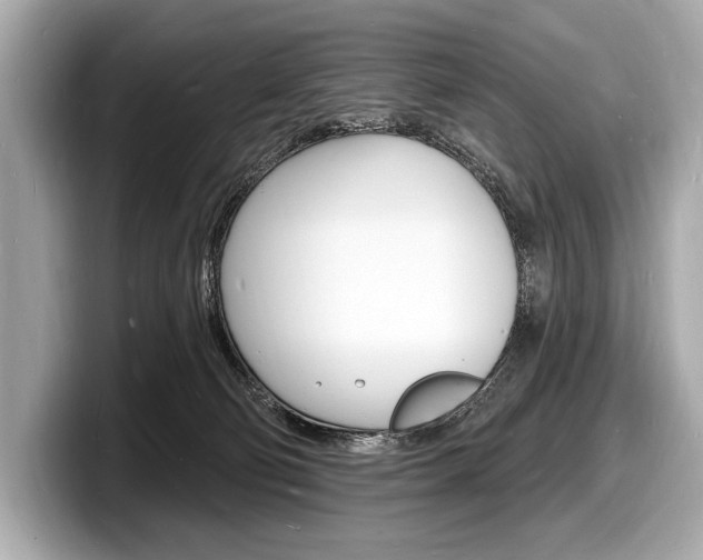 X0000098230130200804241209