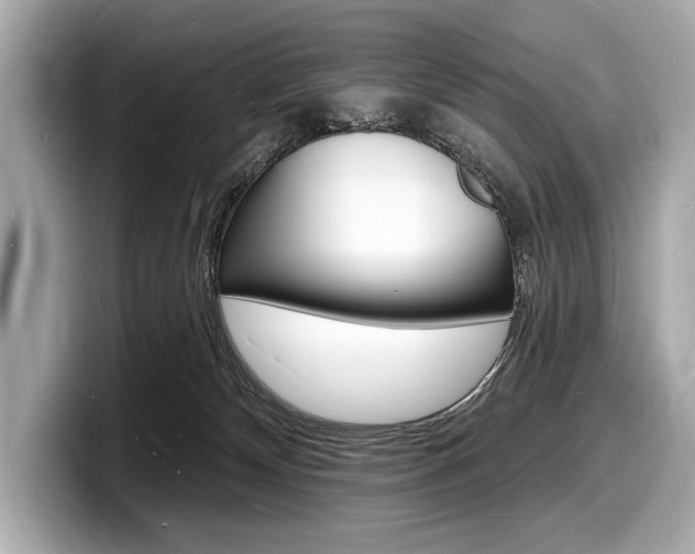 X0000098230132200804241209