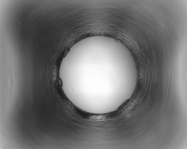X0000098230133200804241209