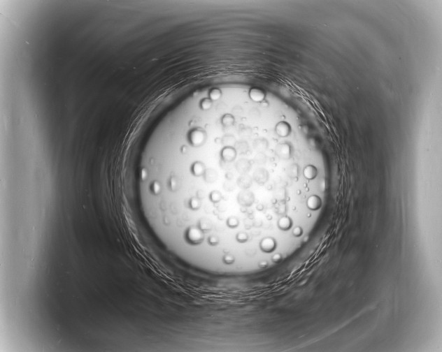 X0000098230145200804241208