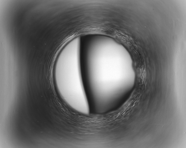 X0000098230148200804241208