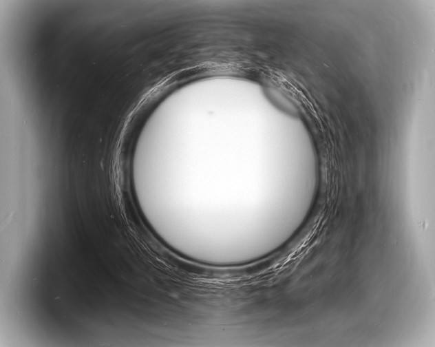 X0000098230149200804241208