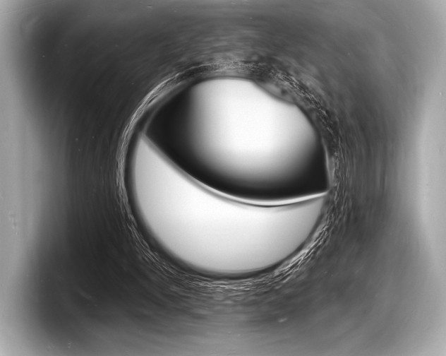 X0000098230150200804241208