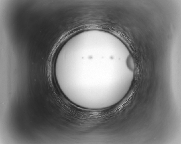X0000098230151200804241208