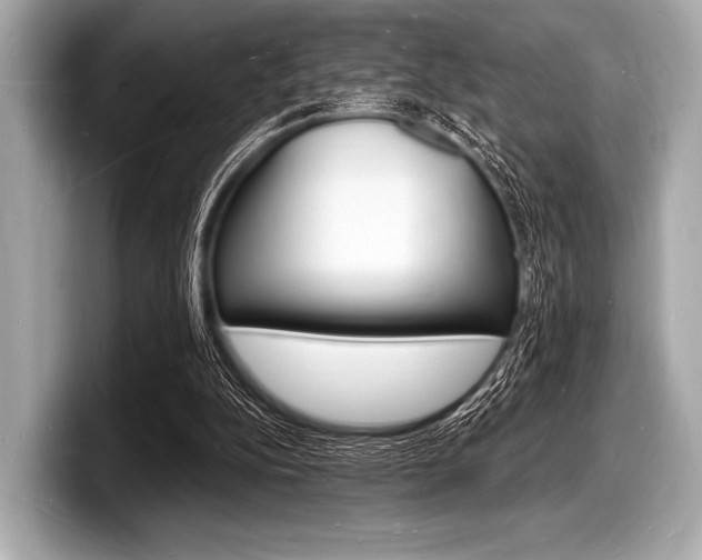 X0000098230152200804241208