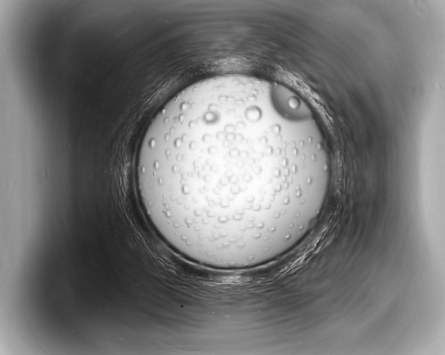 X0000098230153200804241208