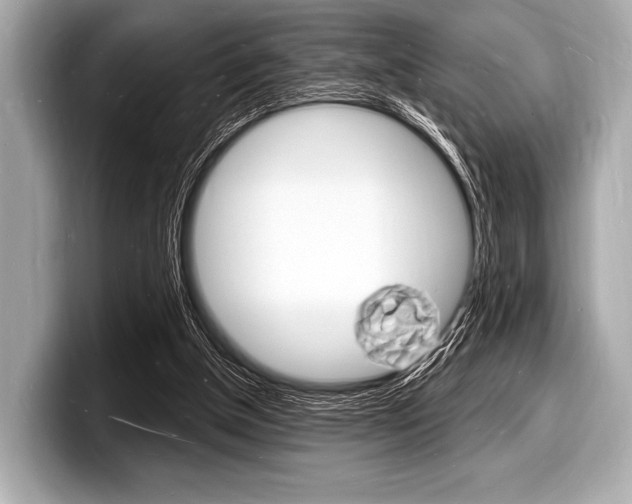 X0000098230154200804241208