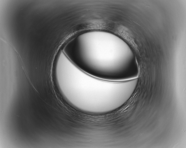 X0000098230156200804241208